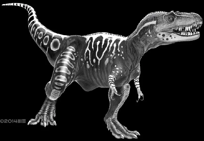 Long Sleeve Women T Shirt for Cooler WeatherYouth Albertosaurus in Black & White T-Shirt Long Sleeve Women T Shirt for Cooler WeatherYouth Albertosaurus in Black & White T-Shirt